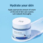 Round Lab Birch Juice Moisturizing Cream 80ml - Image 2